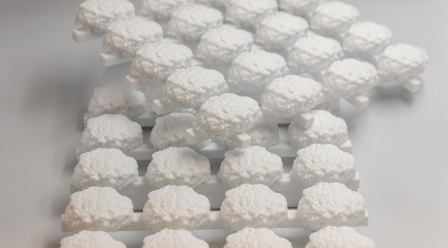 3D-print - Frikadeller